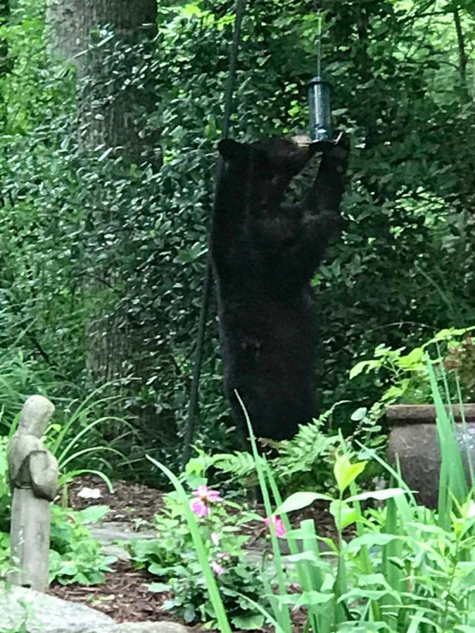 Lazy Bear Lodge Valle Crucis 外观 照片